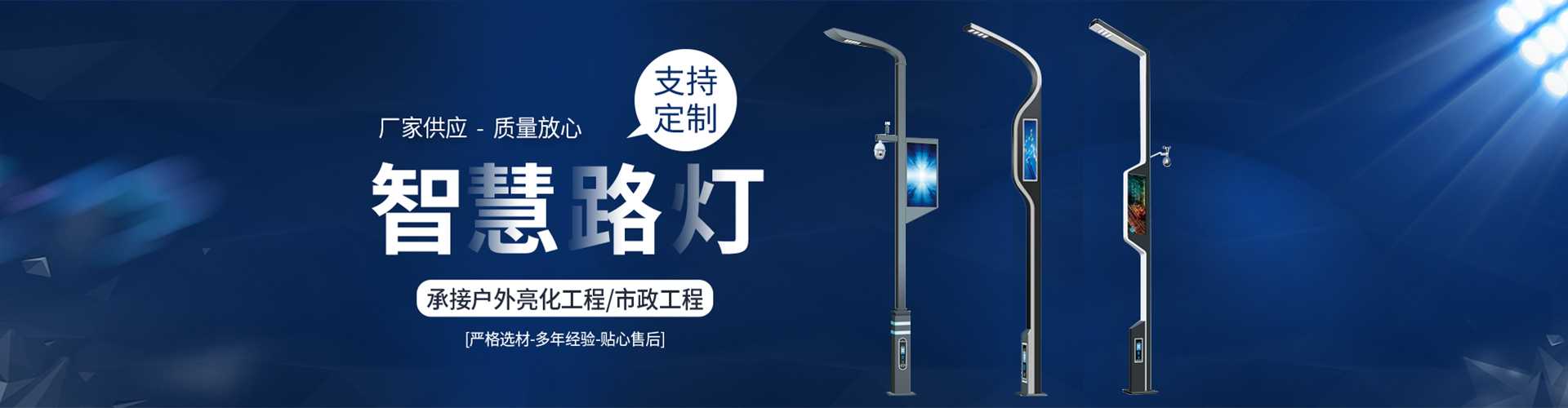 海口市太阳能路灯定制厂家