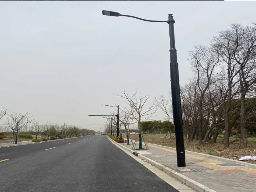 海口市上海综合杆 太阳能路灯工程